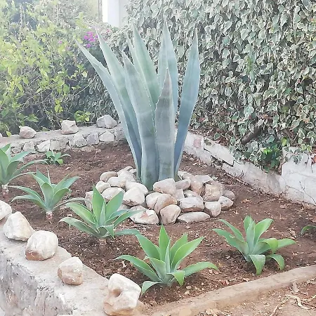 Ellen Maria * Alhaurín de la Torre